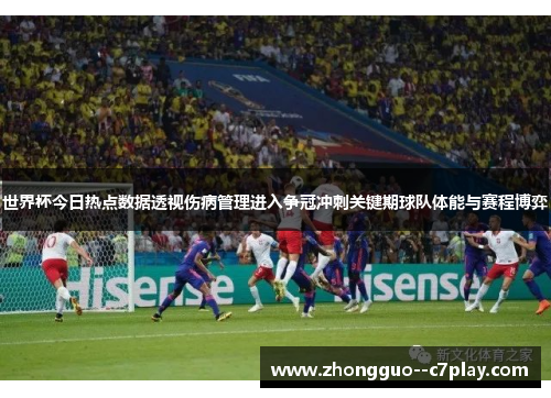 世界杯今日热点数据透视伤病管理进入争冠冲刺关键期球队体能与赛程博弈