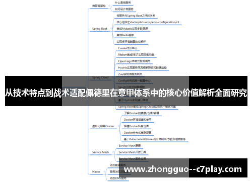 从技术特点到战术适配佩德里在意甲体系中的核心价值解析全面研究